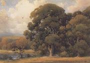 unknow artist Large Oak